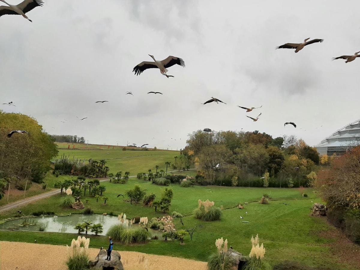 A La Volette Bed & Breakfast Pouille  Bagian luar foto